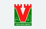 GRUPO INMOBILIARIO VEGA MOLINERO