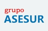 GRUPO ASESUR