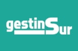 GESTINSUR