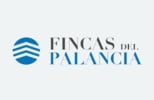 FINCAS DEL PALANCIA