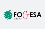 Grupo Fogesa