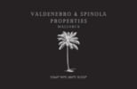 Valdenebro & Spinola Properties