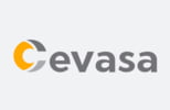 Cevasa