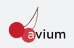 Avium Comercializadora