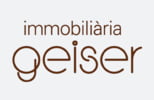 Immobiliaria geiser