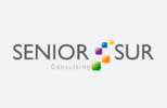 SENIOR SUR – Consulting