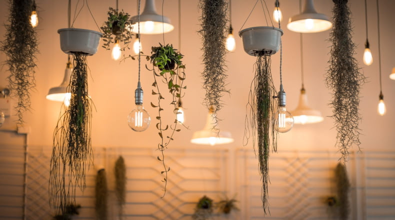 ¿Cuánto tardan en dar de alta la luz en una vivienda de obra nueva?