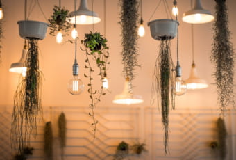 ¿Cuánto tardan en dar de alta la luz en una vivienda de obra nueva?