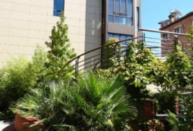 Foto 9