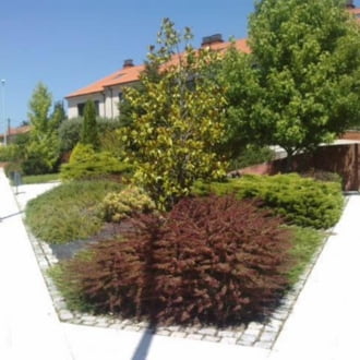 Foto 3