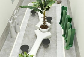 Foto 7