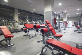 Foto 7