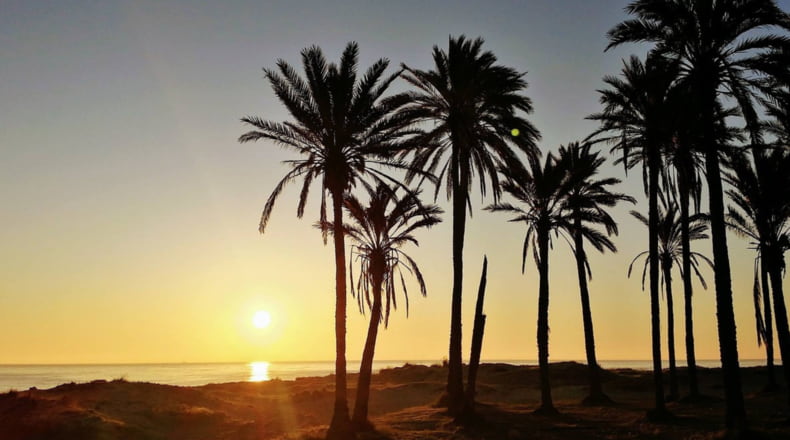 Imagen de Torrevieja