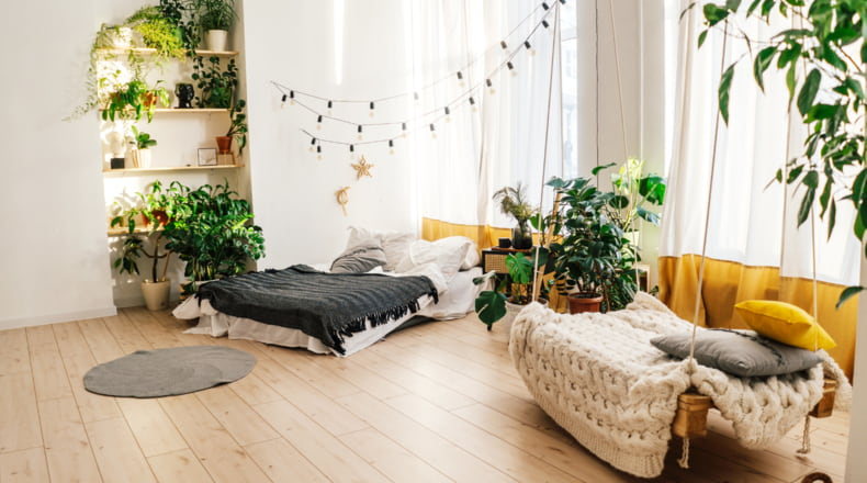 Plantas como parte del diseño interior en 2024